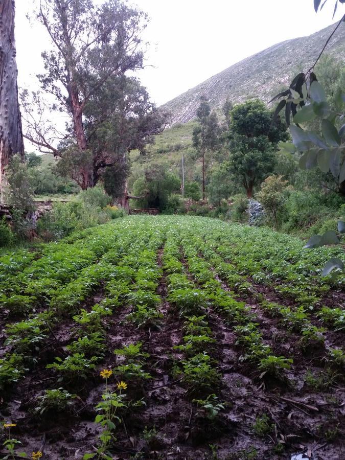 مبيت وإفطار Torotoro El Molino المظهر الخارجي الصورة